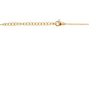 Collier Acier Jaune Carte Martinique 12*28mm Chaîne 1.5mm 42  à 45cm