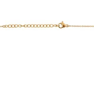 Collier Acier Jaune Martinique Palmiers 39.5*20mm Nœuds Antillais 7.5mm 42  à 47cm