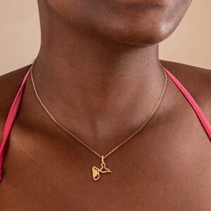 Pendentif Or 375 Carte Guadeloupe Hibiscus 19*26mm Avec Bélière