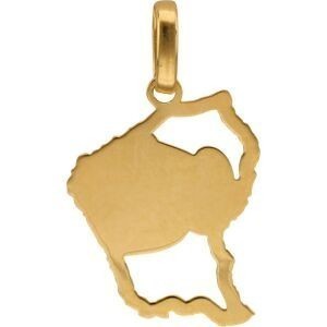 Pendentif Or 750 Carte Guyane 12*20mm Avec Bélière Gravure Tortue