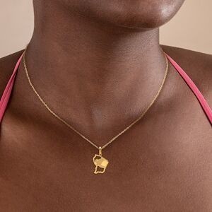 Pendentif Or 750 Carte Guyane 12*20mm Avec Bélière Gravure Tortue