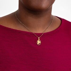 Pendentif Or 750 Carte Guyane Cerclée Ovale 9*12mm Avec Bélière