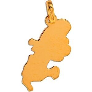 Pendentif Or 375 Carte Martinique Hibiscus Email Orange 11*22mm Avec Bélière