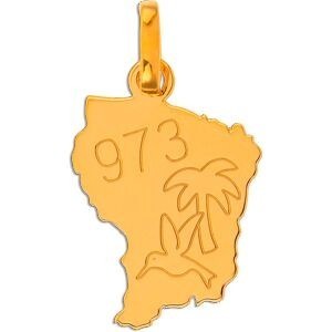 Pendentif Or 750 Carte Guyane Gravure 973 Colibri Palmier 12*20mm Avec Bélière