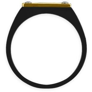 Chevalière Acier Bicolore Carte Guyane 14mm Corps 19mm Au Plus Etroit Taille 66