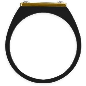 Chevalière Acier Bicolore Carte Guyane 14mm Corps 19mm Au Plus Etroit Taille 68