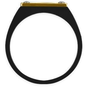 Chevalière Acier Bicolore Carte Guyane 14mm Corps 19mm Au Plus Etroit Taille 68