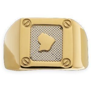 Chevalière Acier Bicolore Plaque Carte Guyane 13.5mm Corps 4mm Taille 70