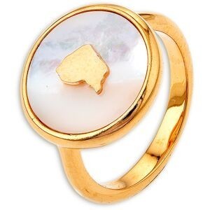 Bague Plaqué Or Nacre Carte Guyane 17mm Corps 3mm Taille 60