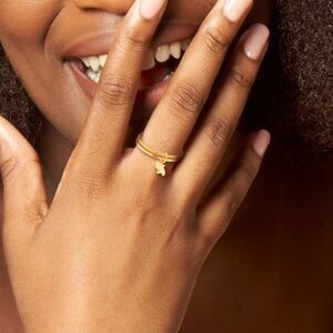 Bague Double Rangs Plaqué Or Corps 1.5mm Carte Martinique Taille 60