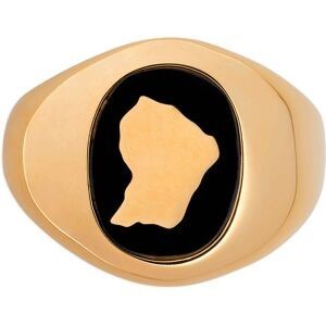 Chevalière Plaqué Or Onyx Carte Guyane Centre 16.5mm Corps 4mm Taille 66