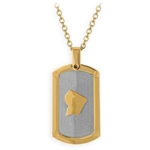 Collier Acier Bicolore Carte Guyane Chaîne 2mm Plaque 19*30mm 50  à 55cm