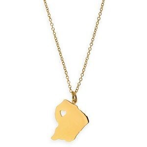 Collier Acier Jaune Carte Guyane 17*25mm Chaîne 1.5mm 42  à 45cm