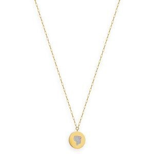 Collier Acier Jaune Médaille 20mm Carte Guyane Cristal 45  à 50cm