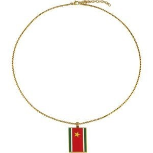 Collier AcierJaune Drapeau Guadeloupe 21*37mm Avec Bélière Multicolore Chaîne 2mm 50 à 55cm