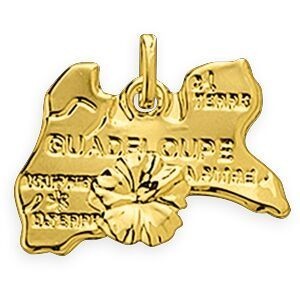 Pendentif Or 375 Hibiscus Carte Guadeloupe 17*14mm Avec Bélière