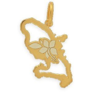 Pendentif Or 375 Carte Martinique Hibiscus 10*22mm Avec Bélière