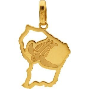 Pendentif Or 750 Carte Guyane 12*20mm Avec Bélière Gravure Tortue