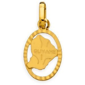 Pendentif Or 750 Carte Guyane Cerclée Ovale 9*12mm Avec Bélière