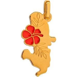 Pendentif Or 375 Carte Martinique Hibiscus Email Orange 11*22mm Avec Bélière