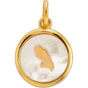 Pendentif Plaqué Or Médaillon Nacre Carte Martinique 15*20mm Avec Bélière