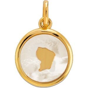 Pendentif Plaqué Or Médaillon Nacre Carte Guyane 15*20mm Avec Bélière
