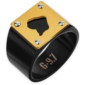 Chevalière Acier Bicolore Carte Guyane 14mm Corps 19mm Au Plus Etroit Taille 70