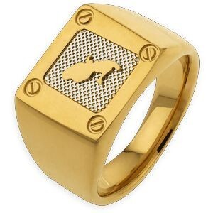 Chevalière Acier Bicolore Plaque Carte Martinique 13.5mm Corps 4mm Taille 66