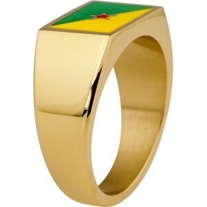 Chevalière Acier Jaune Drapeau Guyane Email Multicolore 10*14mm Corps 4mm Taille 70