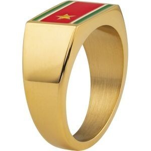 Chevalière Acier Jaune Drapeau Guadeloupe Email Multicolore 10*14mm Corps 4mm Taille 66