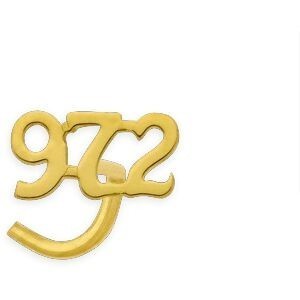 Piercing Nez Or 750 8mm Tige Courbée 972 5*2mm