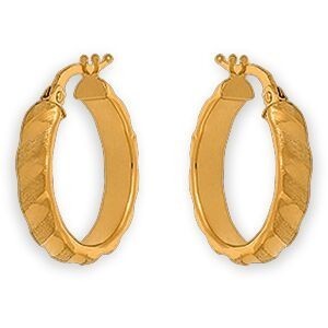 Créoles Or 375 Satinées 15mm Tube 4mm