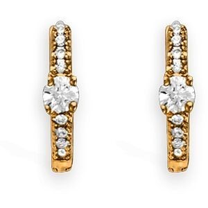 Créoles Plaqué Or 13mm Tube 2mm Zirconium