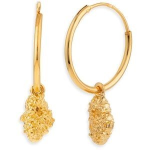 Créoles Plaqué Or 20mm Tube 1.7mm Pépite 8*13mm