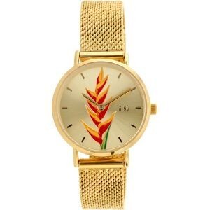 Montre Femme G97 30mm Cadran Doré Balisier Bracelet Mesh Doré 14mm 3ATM